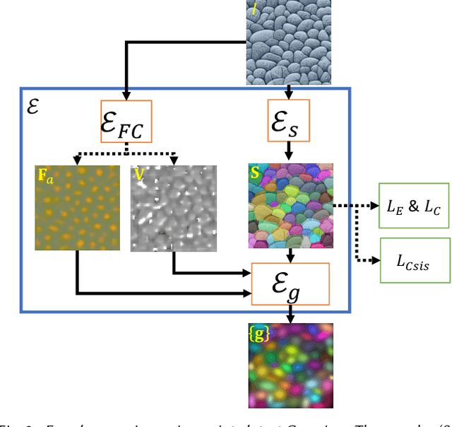 Figure 2 for Compositional Neural Textures