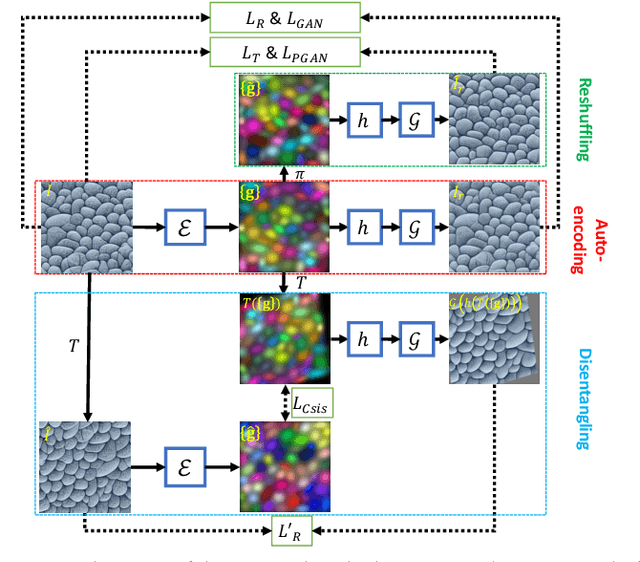 Figure 3 for Compositional Neural Textures