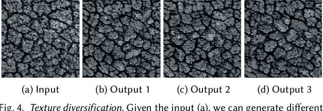 Figure 4 for Compositional Neural Textures