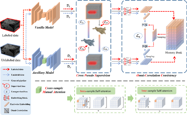 Figure 1 for Correlation-Aware Mutual Learning for Semi-supervised Medical Image Segmentation