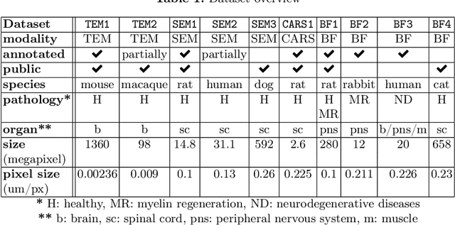 Figure 2 for Multi-Domain Data Aggregation for Axon and Myelin Segmentation in Histology Images