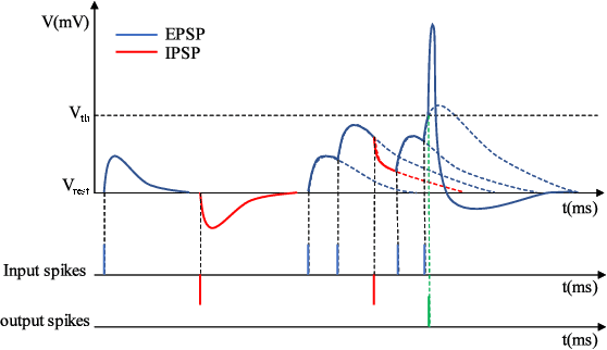 Figure 3 for Sitting Posture Recognition Using a Spiking Neural Network