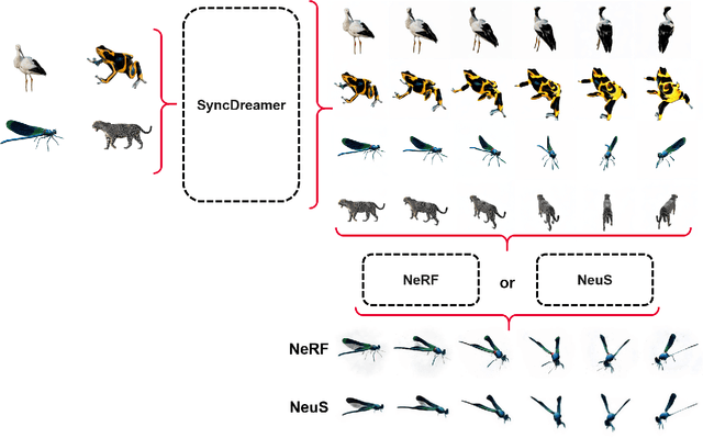 Figure 1 for SyncDreamer for 3D Reconstruction of Endangered Animal Species with NeRF and NeuS