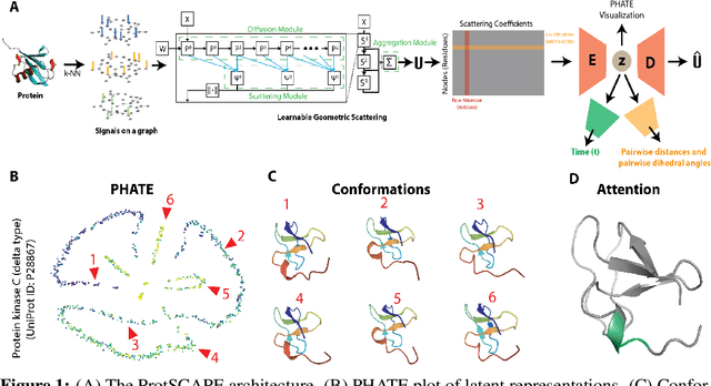 Figure 1 for ProtSCAPE: Mapping the landscape of protein conformations in molecular dynamics