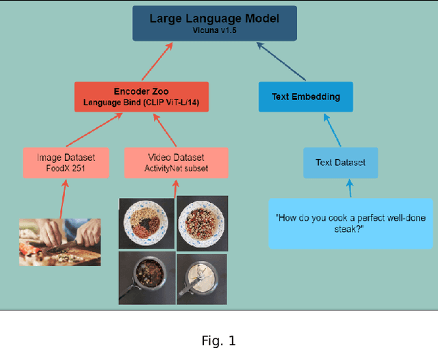 Figure 1 for Directed Domain Fine-Tuning: Tailoring Separate Modalities for Specific Training Tasks