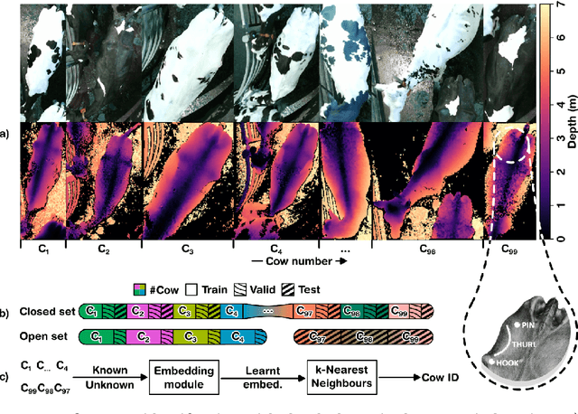 Figure 3 for Universal Bovine Identification via Depth Data and Deep Metric Learning