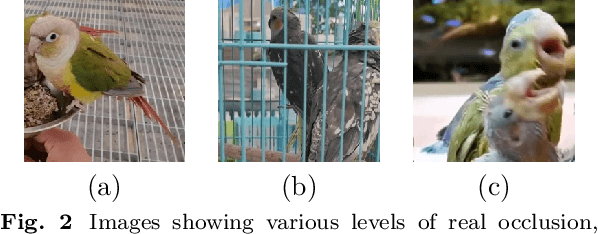 Figure 3 for Are Deep Learning Models Robust to Partial Object Occlusion in Visual Recognition Tasks?