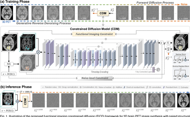 Figure 1 for Functional Imaging Constrained Diffusion for Brain PET Synthesis from Structural MRI