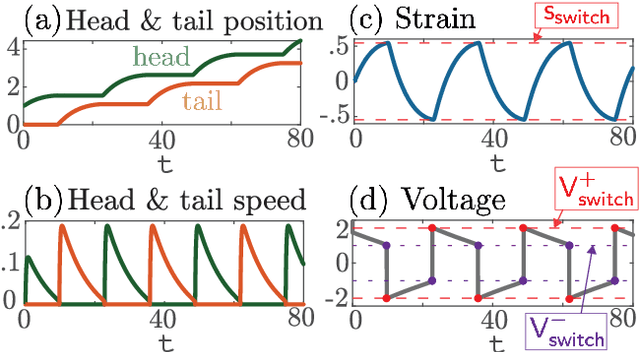 Figure 3 for Excitable crawling