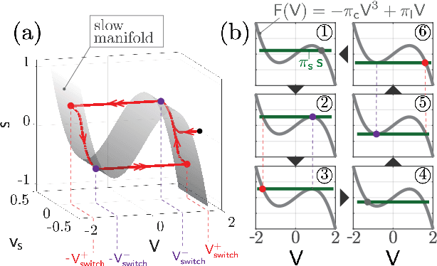 Figure 4 for Excitable crawling