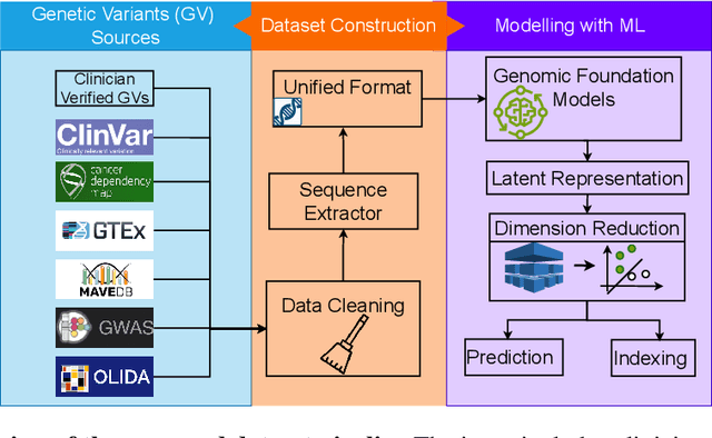 Figure 1 for GV-Rep: A Large-Scale Dataset for Genetic Variant Representation Learning