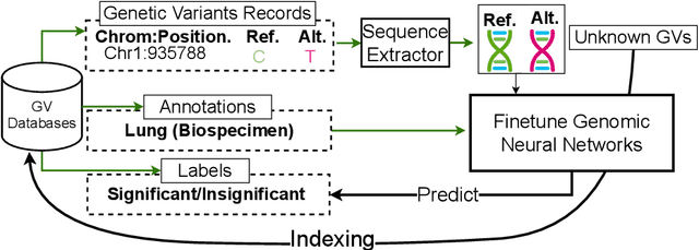 Figure 3 for GV-Rep: A Large-Scale Dataset for Genetic Variant Representation Learning