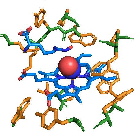 Figure 1 for Harmonic Self-Conditioned Flow Matching for Multi-Ligand Docking and Binding Site Design