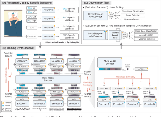 Figure 1 for Toward Foundational Model for Sleep Analysis Using a Multimodal Hybrid Self-Supervised Learning Framework