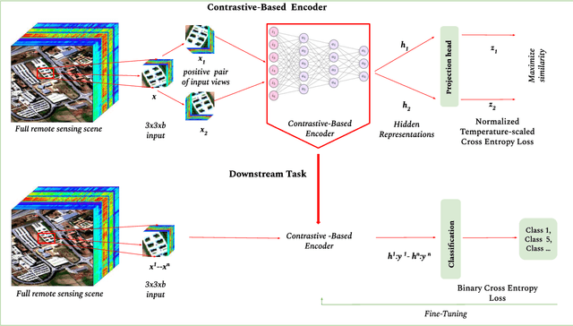 Figure 1 for Enhancing Hyperspectral Image Prediction with Contrastive Learning in Low-Label Regime