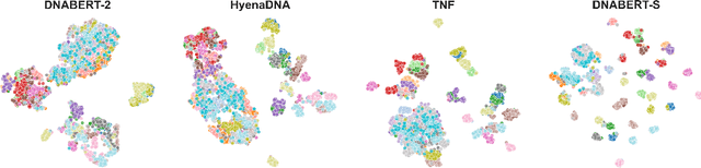 Figure 1 for DNABERT-S: Learning Species-Aware DNA Embedding with Genome Foundation Models