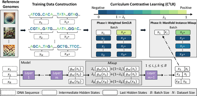 Figure 3 for DNABERT-S: Learning Species-Aware DNA Embedding with Genome Foundation Models