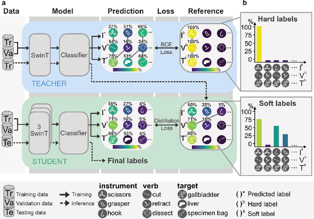 Figure 3 for Self-distillation for surgical action recognition