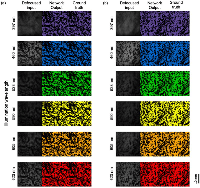 Figure 2 for Snapshot multi-spectral imaging through defocusing and a Fourier imager network