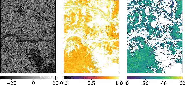 Figure 1 for Better Coherence, Better Height: Fusing Physical Models and Deep Learning for Forest Height Estimation from Interferometric SAR Data