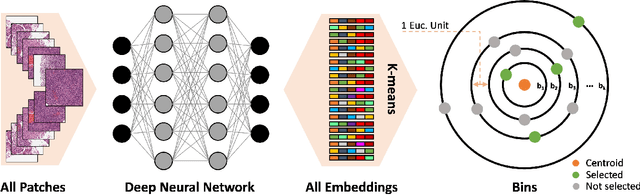 Figure 3 for Selection of Distinct Morphologies to Divide & Conquer Gigapixel Pathology Images