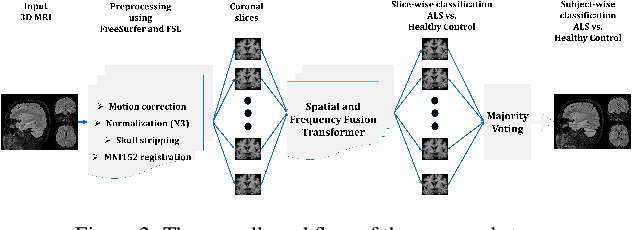 Figure 3 for SF2Former: Amyotrophic Lateral Sclerosis Identification From Multi-center MRI Data Using Spatial and Frequency Fusion Transformer