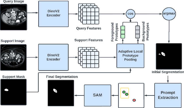 Figure 1 for ProtoSAM -- One Shot Medical Image Segmentation With Foundational Models