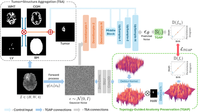 Figure 3 for BrainMRDiff: A Diffusion Model for Anatomically Consistent Brain MRI Synthesis