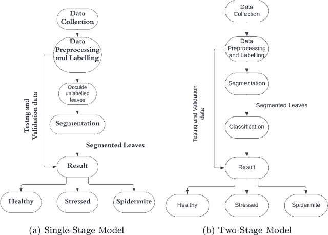 Figure 1 for Detection of Spider Mites on Labrador Beans through Machine Learning Approaches Using Custom Datasets