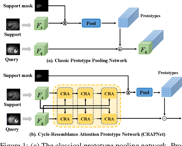 Figure 1 for Few-shot Medical Image Segmentation with Cycle-resemblance Attention