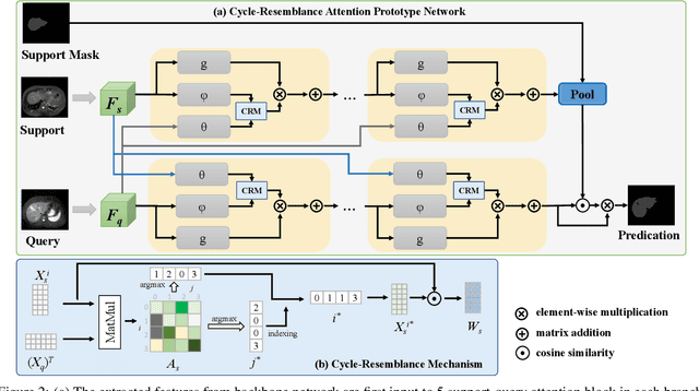 Figure 3 for Few-shot Medical Image Segmentation with Cycle-resemblance Attention