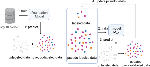 Figure 1 for Using Foundation Models as Pseudo-Label Generators for Pre-Clinical 4D Cardiac CT Segmentation