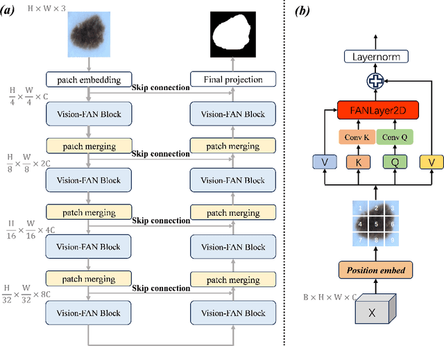 Figure 1 for FAN-Unet: Enhancing Unet with vision Fourier Analysis Block for Biomedical Image Segmentation