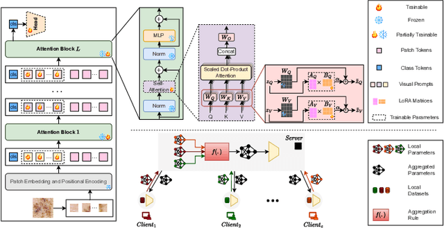 Figure 1 for Probing the Efficacy of Federated Parameter-Efficient Fine-Tuning of Vision Transformers for Medical Image Classification