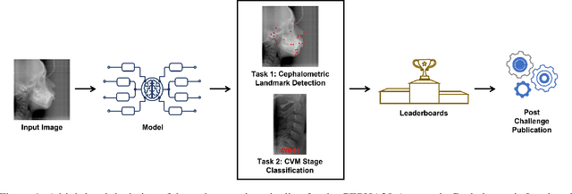 Figure 1 for CEPHA29: Automatic Cephalometric Landmark Detection Challenge 2023