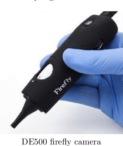Figure 1 for Validating Vision Transformers for Otoscopy: Performance and Data-Leakage Effects