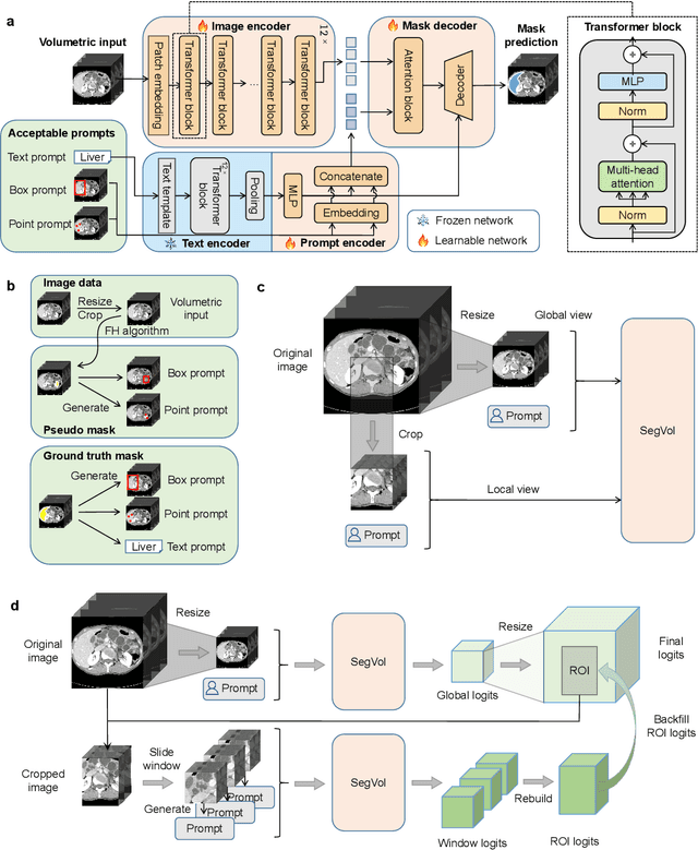 Figure 1 for SegVol: Universal and Interactive Volumetric Medical Image Segmentation