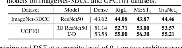 Figure 2 for Dynamic Sparse Training versus Dense Training: The Unexpected Winner in Image Corruption Robustness