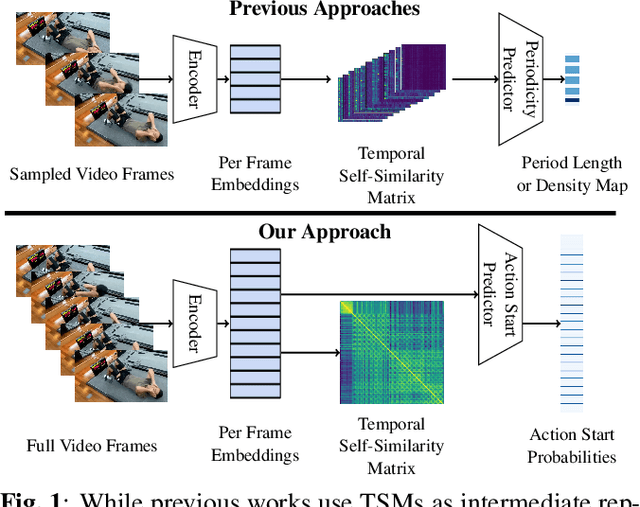 Figure 1 for Rethinking temporal self-similarity for repetitive action counting