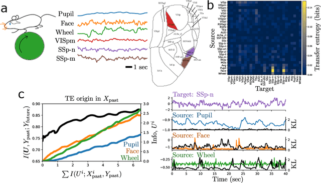 Figure 4 for Which bits went where? Past and future transfer entropy decomposition with the information bottleneck