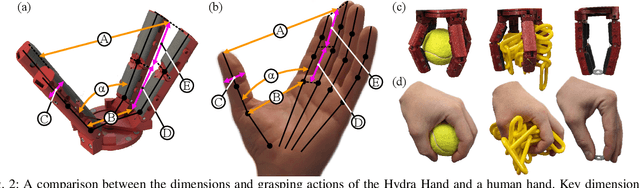 Figure 4 for The Hydra Hand: A Mode-Switching Underactuated Gripper with Precision and Power Grasping Modes