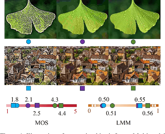 Figure 1 for Mitigating Perception Bias: A Training-Free Approach to Enhance LMM for Image Quality Assessment