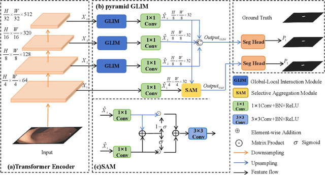 Figure 2 for HiFiSeg: High-Frequency Information Enhanced Polyp Segmentation with Global-Local Vision Transformer