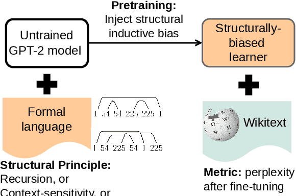 Figure 1 for Pretrain on just structure: Understanding linguistic inductive biases using transfer learning