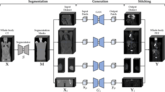 Figure 1 for Whole-Body Image-to-Image Translation for a Virtual Scanner in a Healthcare Digital Twin