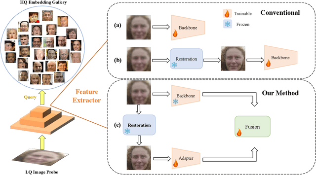 Figure 1 for Effective Adapter for Face Recognition in the Wild