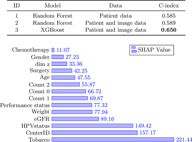 Figure 4 for MLC at HECKTOR 2022: The Effect and Importance of Training Data when Analyzing Cases of Head and Neck Tumors using Machine Learning