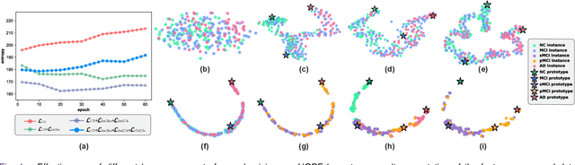 Figure 4 for HOPE: Hybrid-granularity Ordinal Prototype Learning for Progression Prediction of Mild Cognitive Impairment