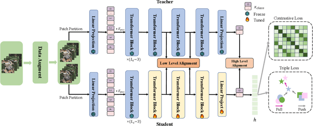 Figure 1 for ERVD: An Efficient and Robust ViT-Based Distillation Framework for Remote Sensing Image Retrieval