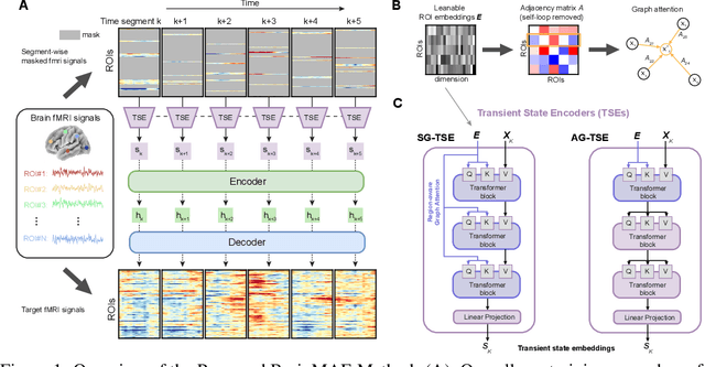 Figure 1 for BrainMAE: A Region-aware Self-supervised Learning Framework for Brain Signals